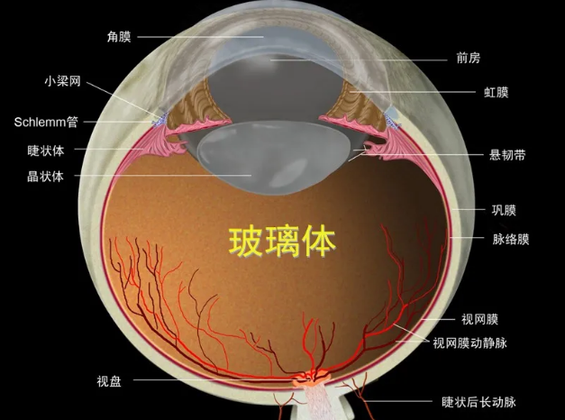 視網(wǎng)膜脫落征兆